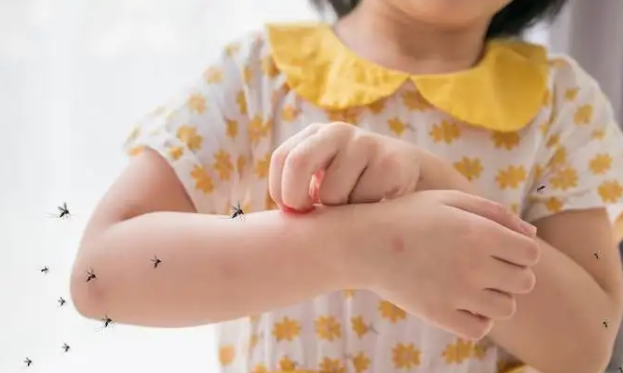 Waspada! Kasus DBD di Indonesia Melonjak Tajam, Kemenkes: Kasus Kematian Mayoritas Anak Usia 5 Tahun