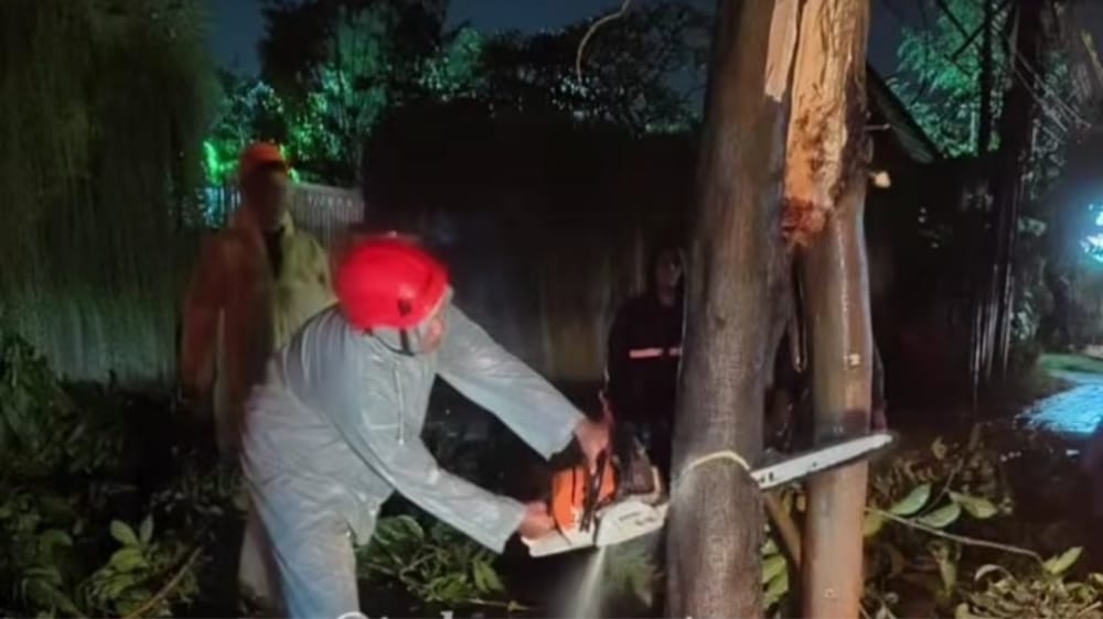 Diterjang Cuaca Ekstrem, Denpasar Dilanda Pohon Tumbang hingga Angin Puting Beliung