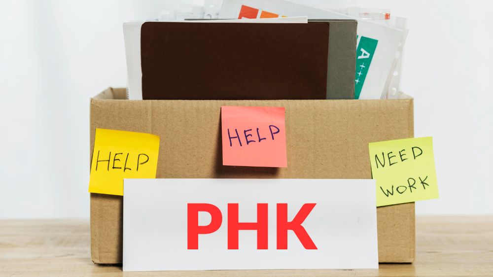 PHK Massal Terjadi di Indonesia, Efisiensi atau Tanda Bahaya Ekonomi?