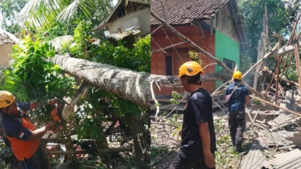 Angin Kencang Terjang Karangasem, Rumah Warga Jungutan Ambruk Tertimpa Pohon