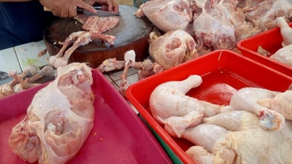 Jelang Imlek 2026, Dinas Ketahanan Pangan Pastikan Pasokan Ayam di Tabanan Cukup