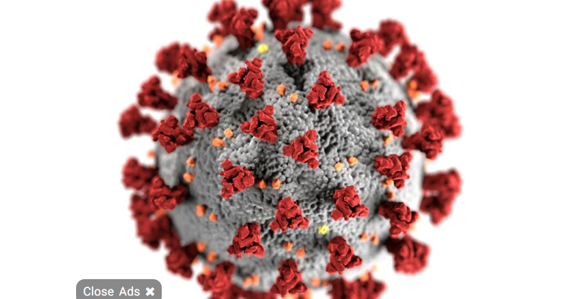Kemenkes Tegaskan Virus Covid-19 Varian XEC yang Mengganas di Thailand Belum Masuk Indonesia