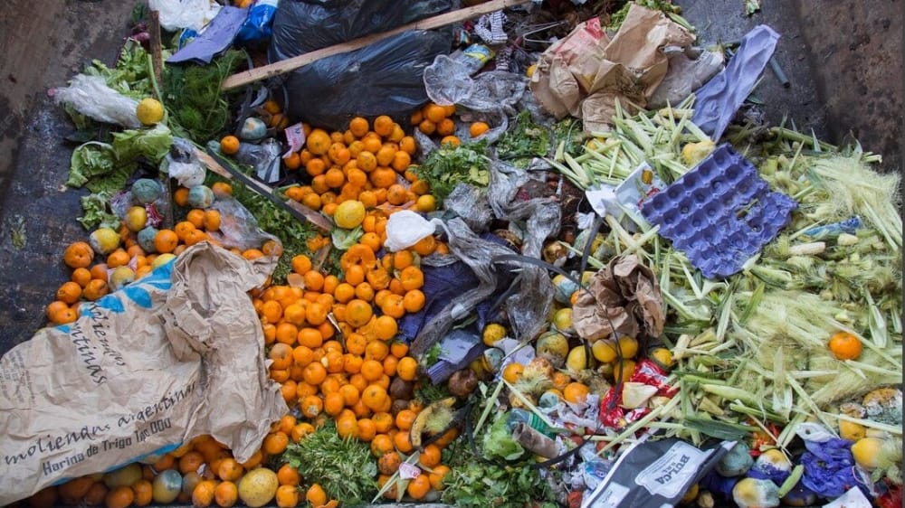 Menteri LH Tegaskan Sampah Organik Tak Boleh Lagi Masuk TPA Suwung