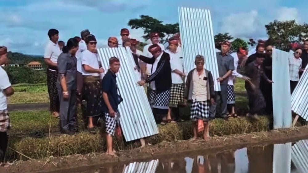 Petani Jatiluwih Cabut Seng Sawah Usai Pemkab Tabanan Tawarkan Moratorium