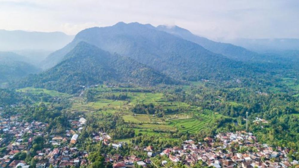 KPH Bali Utara Bantah Dugaan Pembabatan Hutan di Bali Utara, Ambengan
