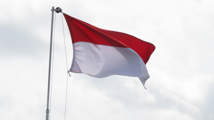Semarakkan HUT ke-80 RI, Pemprov Bali Kibarkan 10 Juta Bendera Merah Putih