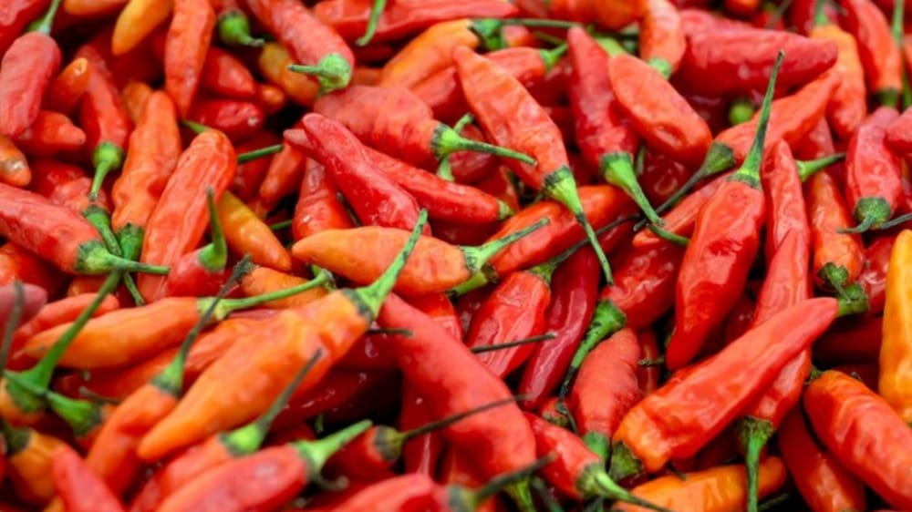 Disperindag Catat Kenaikan Cabai Rawit di Denpasar pada 1 Ramadhan 1447 H