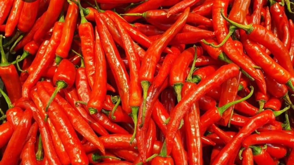 Harga Cabai di Karangasem Melonjak Jelang Nataru, Tembus Rp 80 Ribu per Kilogram