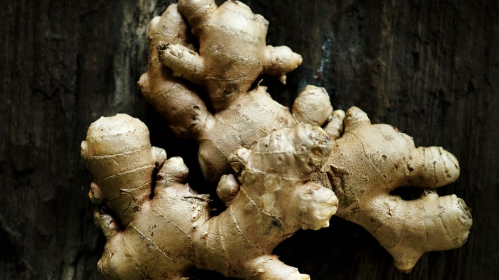 Jahe Merah, Herba Asli Indonesia yang Diakui Dunia karena Khasiatnya untuk Kesehatan