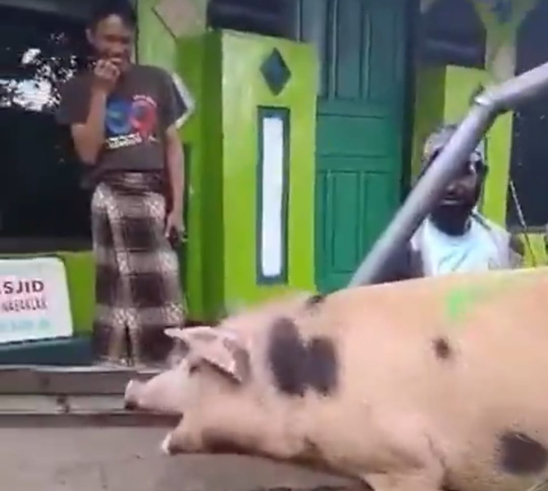 Baru Mualaf, Pria Asal Papua Kirim Babi untuk Kurban, Habib Jafar Jelaskan Hukumnya!