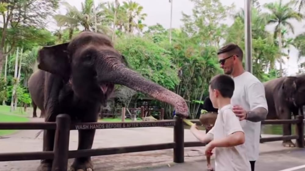 Setelah Dua Kali Peringatan Kemenhut, Mason Elephant Park Hentikan Elephant Riding