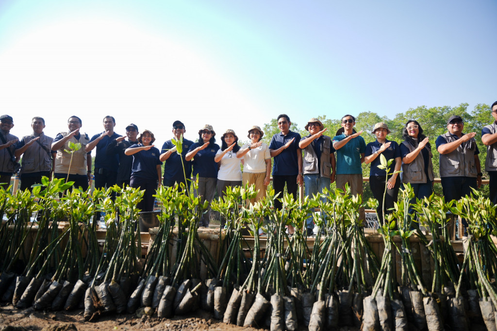 Peringati HUT ke-50, Perumdam Tirta Mangutama Badung Gelar Aksi Tanam 2.000 Mangrove