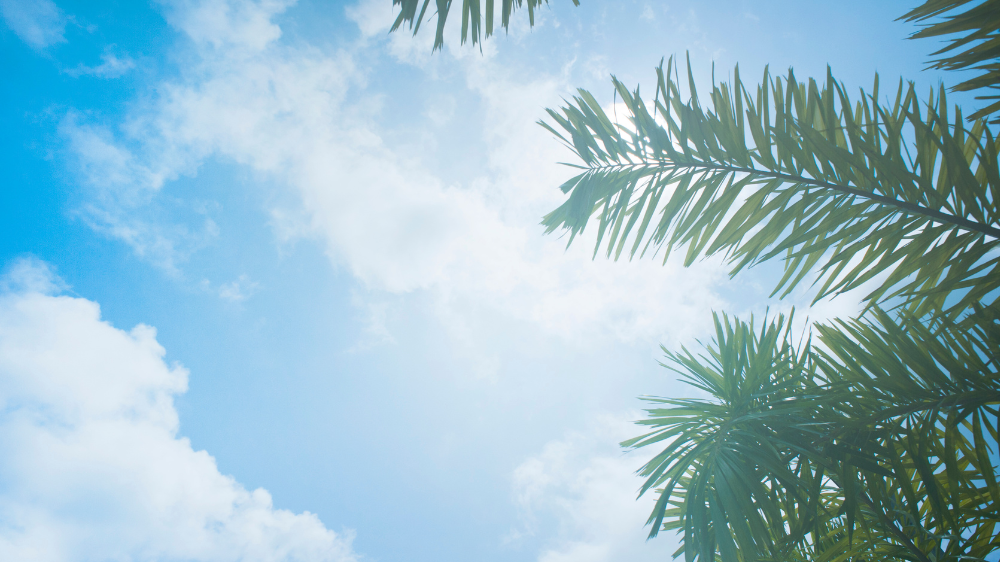 BMKG Update Prakiraan Cuaca di Bali Hari Ini Rabu 23 April 2025, Buruan Cek!