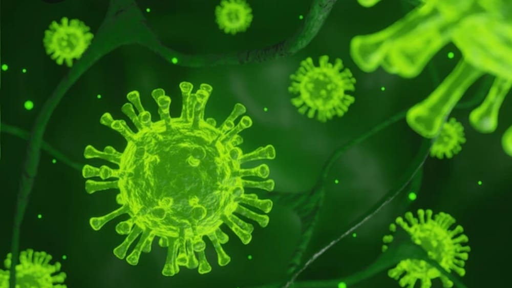 Dinkes Bali Temukan Dua Warga Denpasar yang Sempat Terinfeksi Super Flu