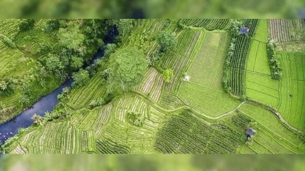 Resmi! DPRD Bali Larang Praktik Nominee, Alih Fungsi Lahan Produktif Kini Diperketat