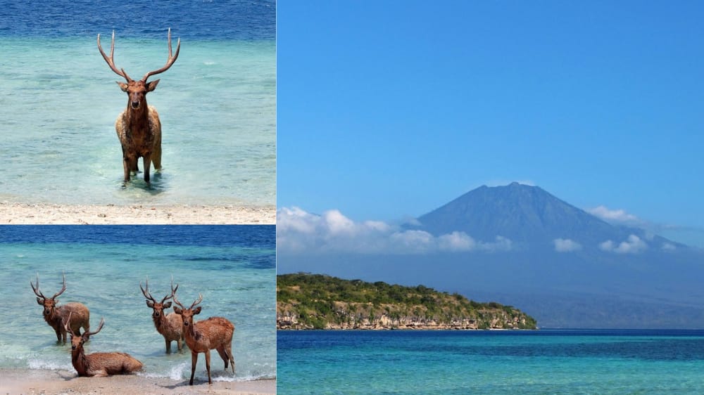 Bali Kembali Jadi Sorotan Dunia, Raih Gelar Pulau Terbaik di Asia 2025