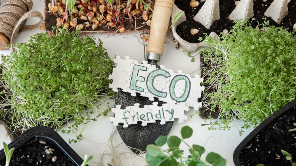 Ketika Kesederhanaan Jadi Gaya Hidup, Jalani Hidup Eco-Friendly Agar Lebih Bermakna