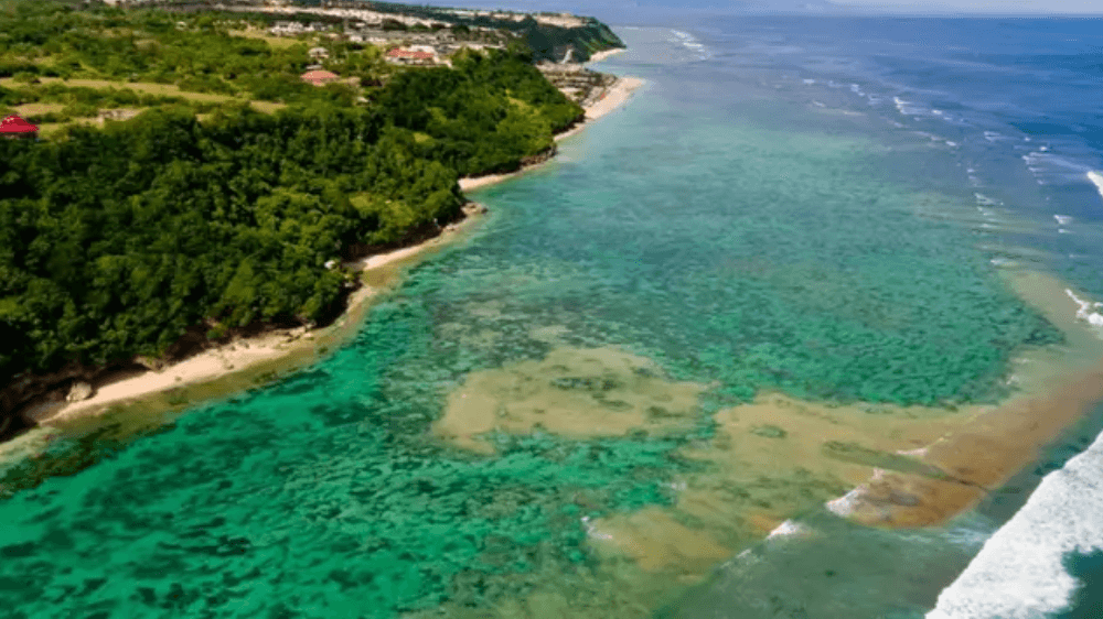 Surga Para Peselancar! Ini 7 Pantai Bali yang Patut Dijelajahi, Nikmati Liburan bersama Ombak Menantang