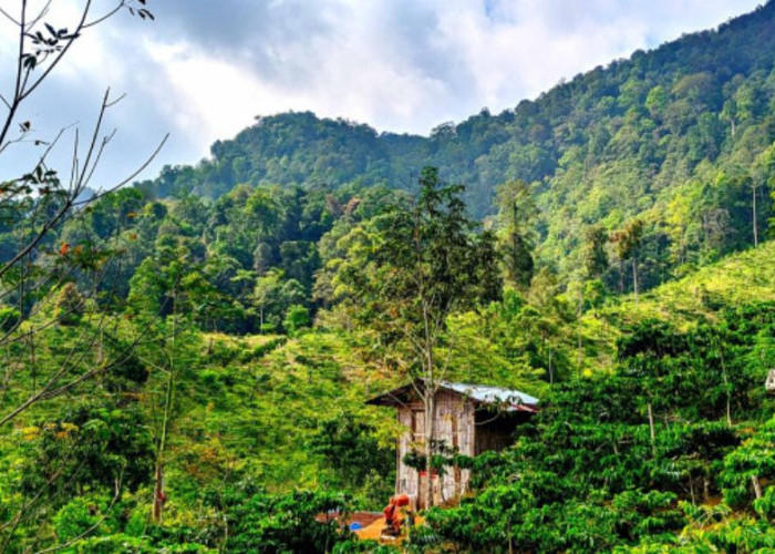 Pemerintah Ajukan Modifikasi Batas Warisan Dunia TRHS demi Geothermal