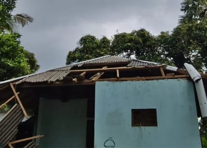 Angin Kencang Selasa Malam Picu Pohon Tumbang di Sejumlah Titik Buleleng