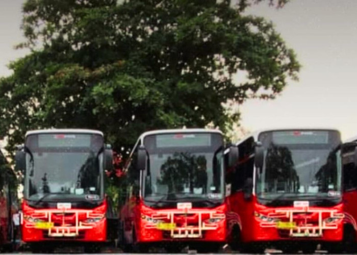 Perluas Layanan Transportasi Umum, Bus Trans Metro Dewata Bersiap Masuk Buleleng