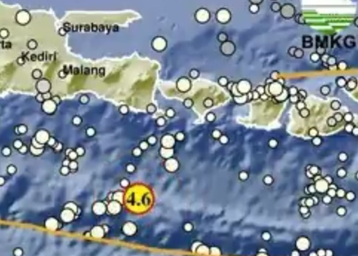 BMKG: Gempa Magnitudo 4,6 Guncang Bali Selatan, Waspada!
