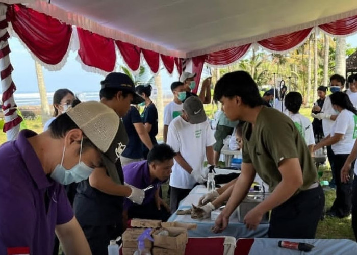 Pemprov Bali dan Pemkab Jembrana Kerja Sama Percepat Vaksinasi Rabies