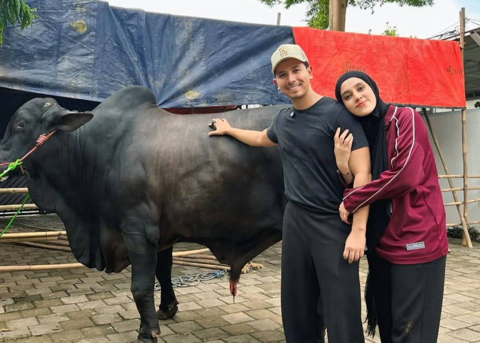 Waduh! Fairuz A. Rafiq Dilarikan ke Rumah Sakit Gegara Terinjak Sapi Seberat 1 Ton