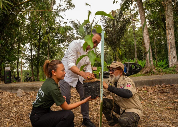 Nuanu dan Bali Tourism Board Dukung Reforestasi Batukaru