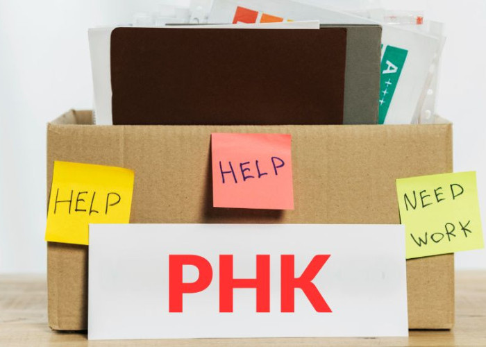 PHK Massal Terjadi di Indonesia, Efisiensi atau Tanda Bahaya Ekonomi?