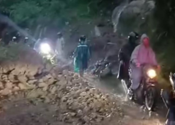 Diguyur Hujan Lebat, Sejumlah Titik di Pupuan Dilanda Longsor
