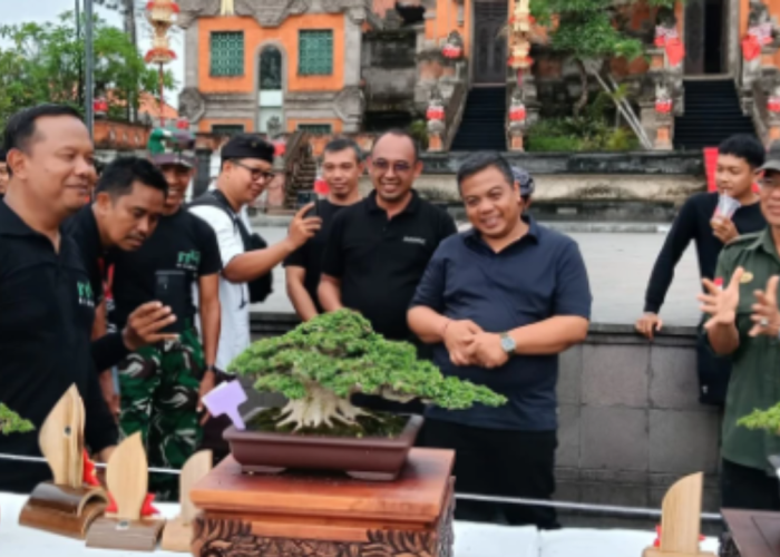 Pamnas Bonsai Gianyar 2026 Diikuti 618 Karya, Kualitas Pohon Disebut Meningkat