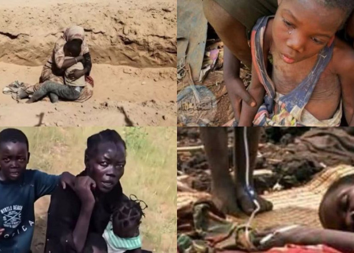 Krisis Kemanusiaan di Sudan, Tragedi El Fasher dan Derita yang Tidak Berujung di Darfur