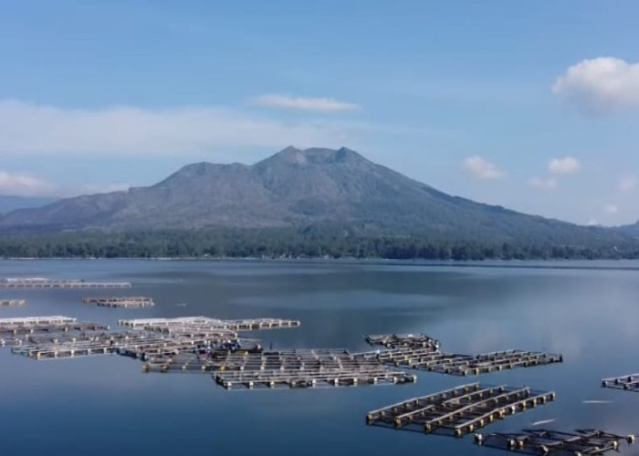 Rencana Penertiban Keramba Apung Danau Batur, Pemkab Bangli Belum Terima Petunjuk Teknis