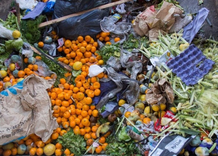 Menteri LH Tegaskan Sampah Organik Tak Boleh Lagi Masuk TPA Suwung