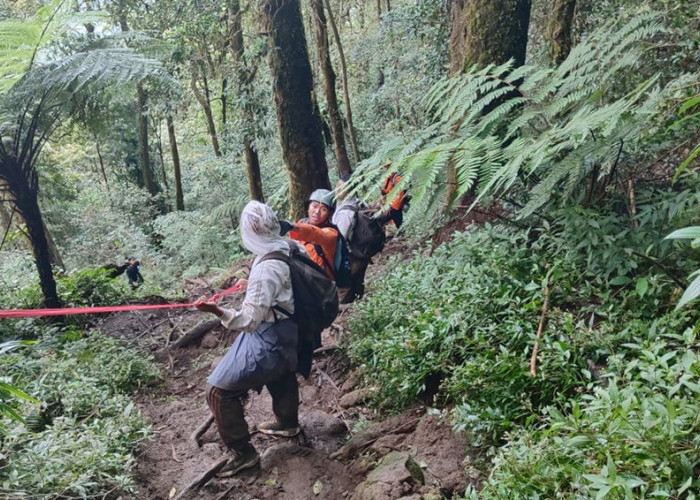 Nekat mendaki Gunung Batukaru, 5 Pendaki ini Dievakuasi Tim SAR