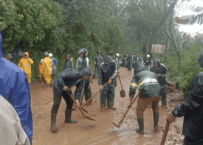 Camat Banjar Pimpin Gotong Royong Bersihkan Longsor di Jalur Desa Munduk Denpasar