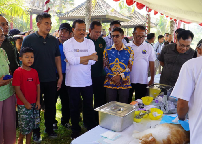 Kasus Tertinggi Gigitan Hewan Penular Rabies Terjadi di Jembrana 
