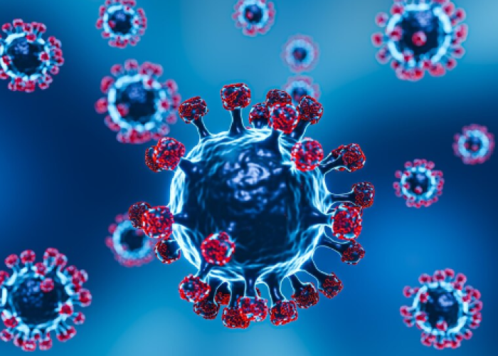 Virus HKU5 Berpotensi Lebih Bahaya dari Covid-19 Ditemukan, Kenali 6 Gejalanya saat Terinfeksi