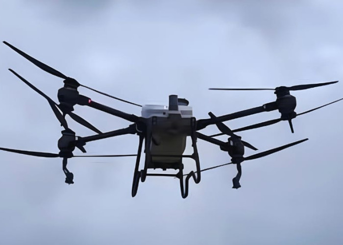 Petani Subak Jatiluwih Manfaatkan Drone untuk Percepat Pemupukan Padi