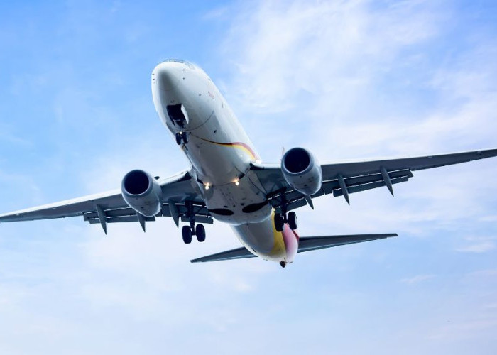 Bali Semakin Memperlebar Jangkauannya, Rute Baru India-Bali Resmi Dibuka