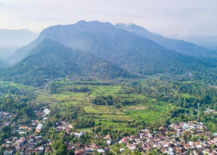 KPH Bali Utara Bantah Dugaan Pembabatan Hutan di Bali Utara, Ambengan