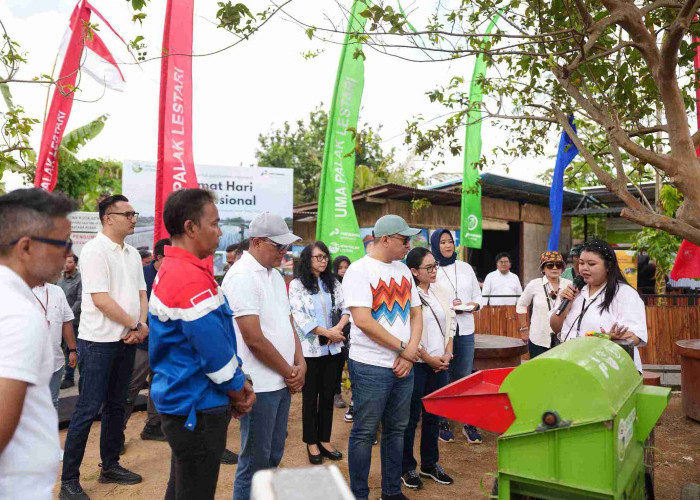 Bali Punya Desa Energi Berdikari! Sawah Organik Panen Duit Ratusan Juta