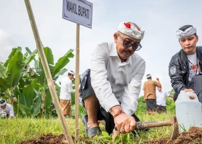 Wujud Wana Kerthi, Bangli Tanam Ratusan Pohon Sambil Ingatkan Pentingnya Harmoni Alam
