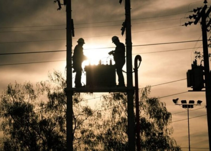 Gangguan Transmisi Picu Pemadaman Listrik di Bali, PLN Klaim Sistem Sudah Stabil