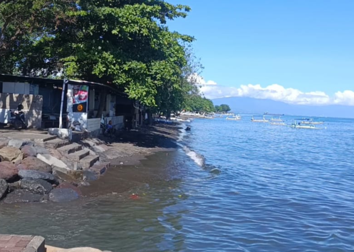 Pantai Banyuasri Buleleng Diproyeksikan Jadi Ekowisata Konservasi Penyu dan Wisata Bahari