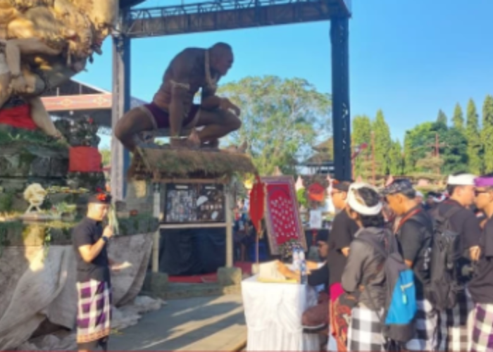 Lomba Ogoh-Ogoh Gianyar 2026, ST Pandawa Tarukan Raih Juara I