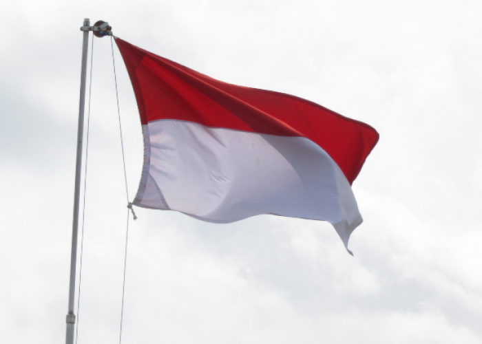 Semarakkan HUT ke-80 RI, Pemprov Bali Kibarkan 10 Juta Bendera Merah Putih