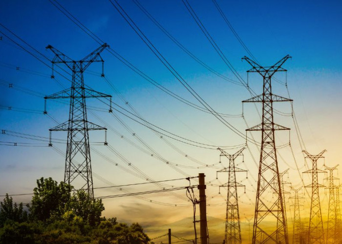 PLN Bali Umumkan Jadwal Pemadaman Listrik pada 1 Oktober 2025, Berikut Daerah yang Mengalami Pemadaman Listrik