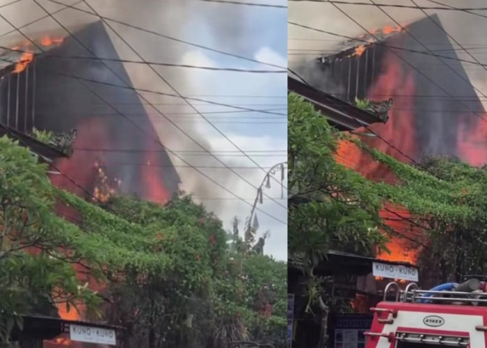 Kebakaran Hanguskan Coffee Shop di Jalan Monkey Forest Ubud, Damkar Kerahkan Enam Armada